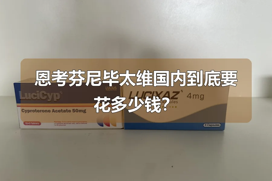 恩考芬尼毕太维国内到底要花多少钱?